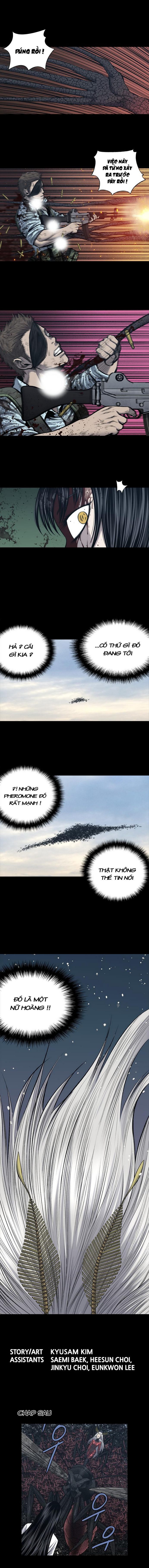 Đọc truyện Hive - Thảm họa ong độc - Chap 233